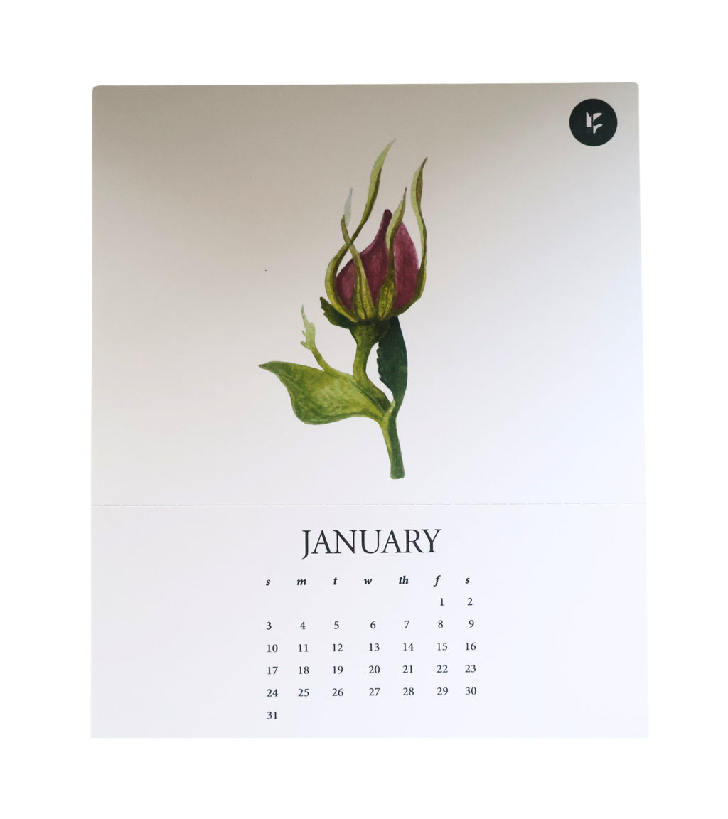Spring Botanical Calendar 2027