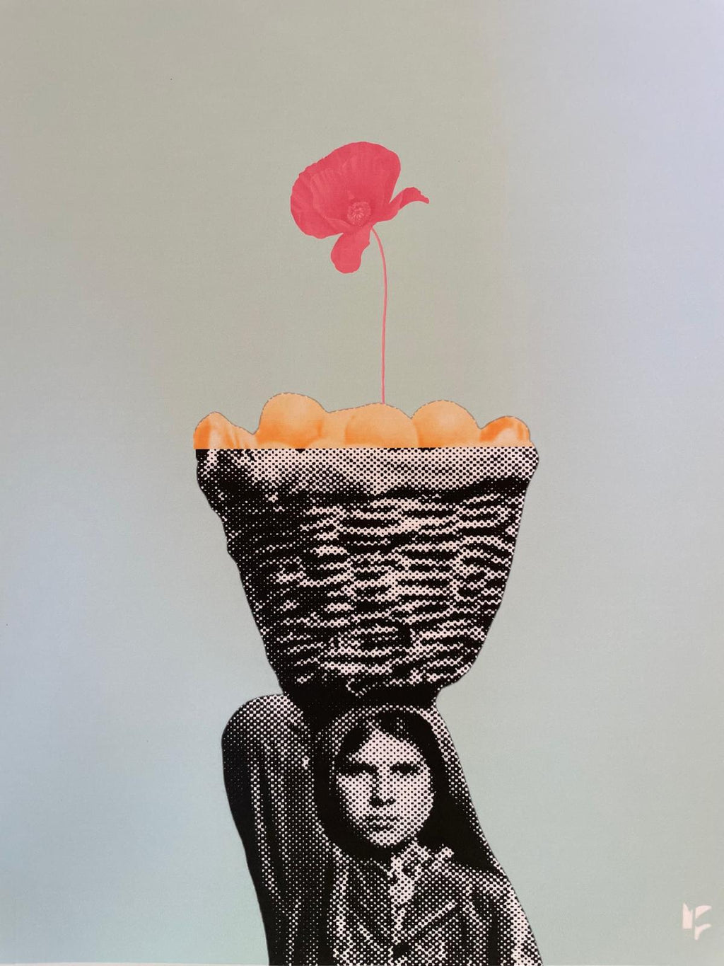 Resilient Rose Of Palestine