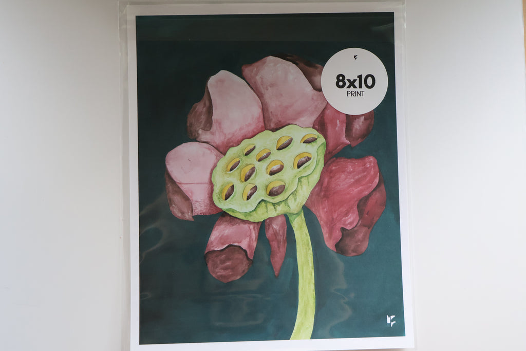 Blooming Lotus