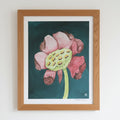 Blooming Lotus