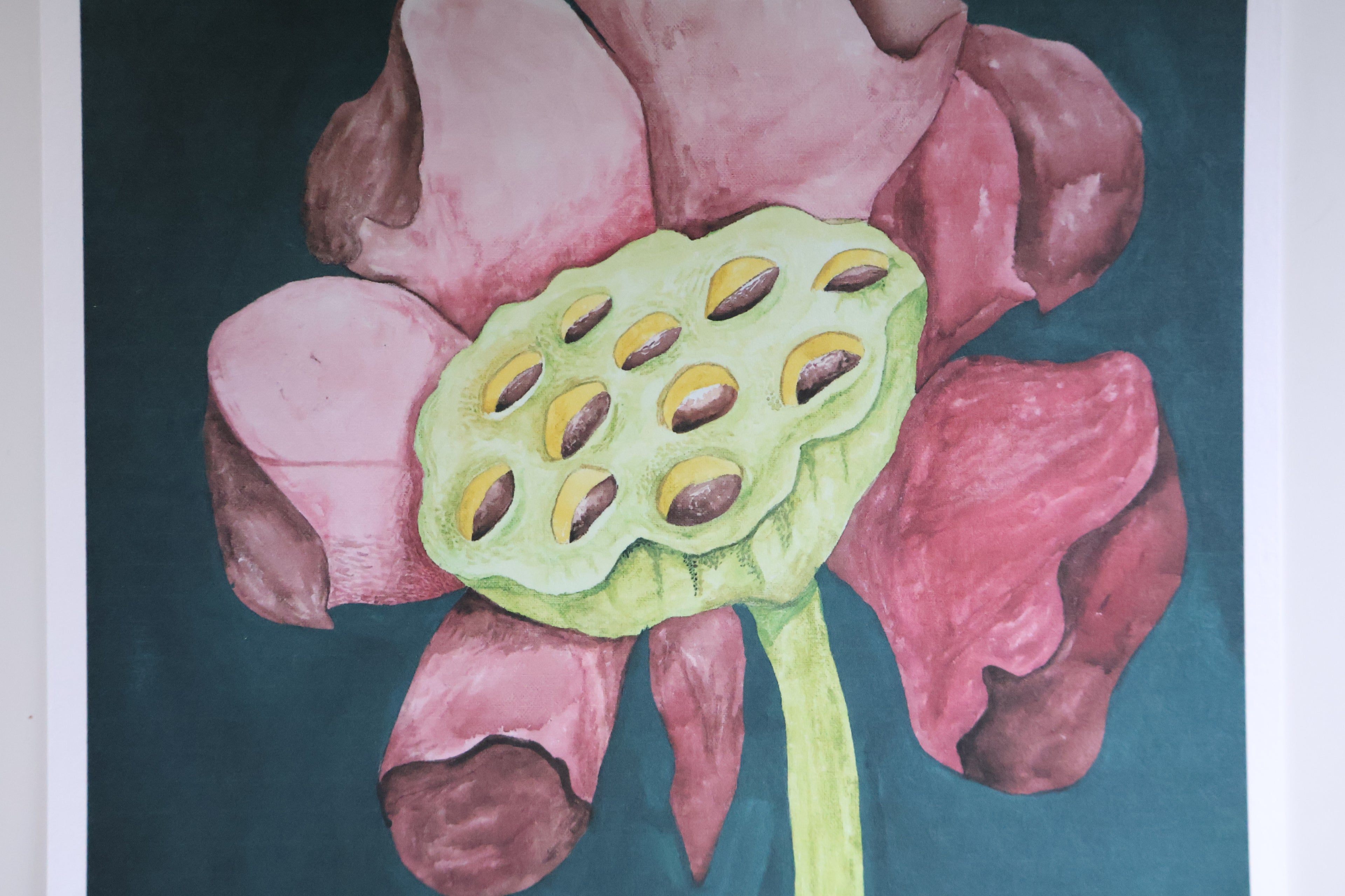 Blooming Lotus