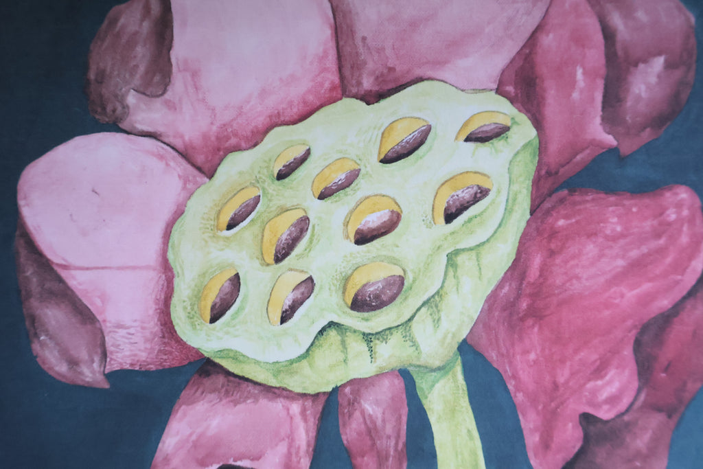 Blooming Lotus