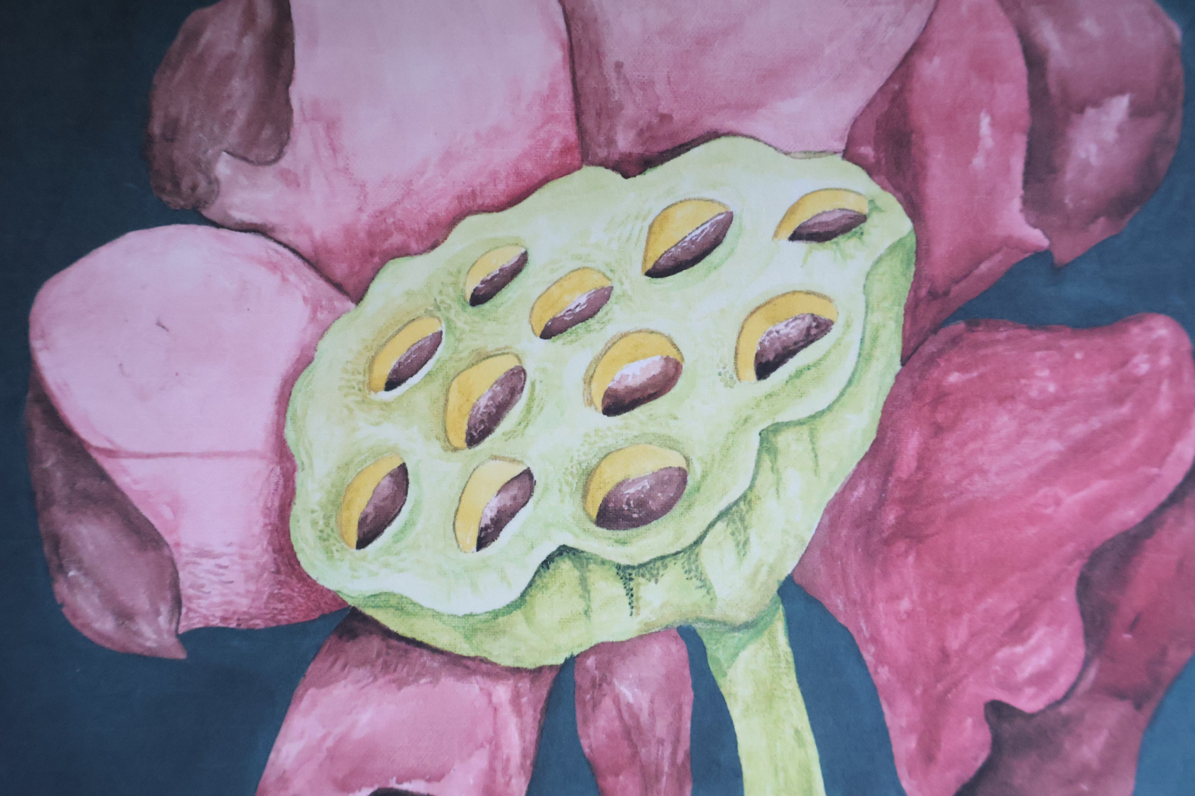 Blooming Lotus