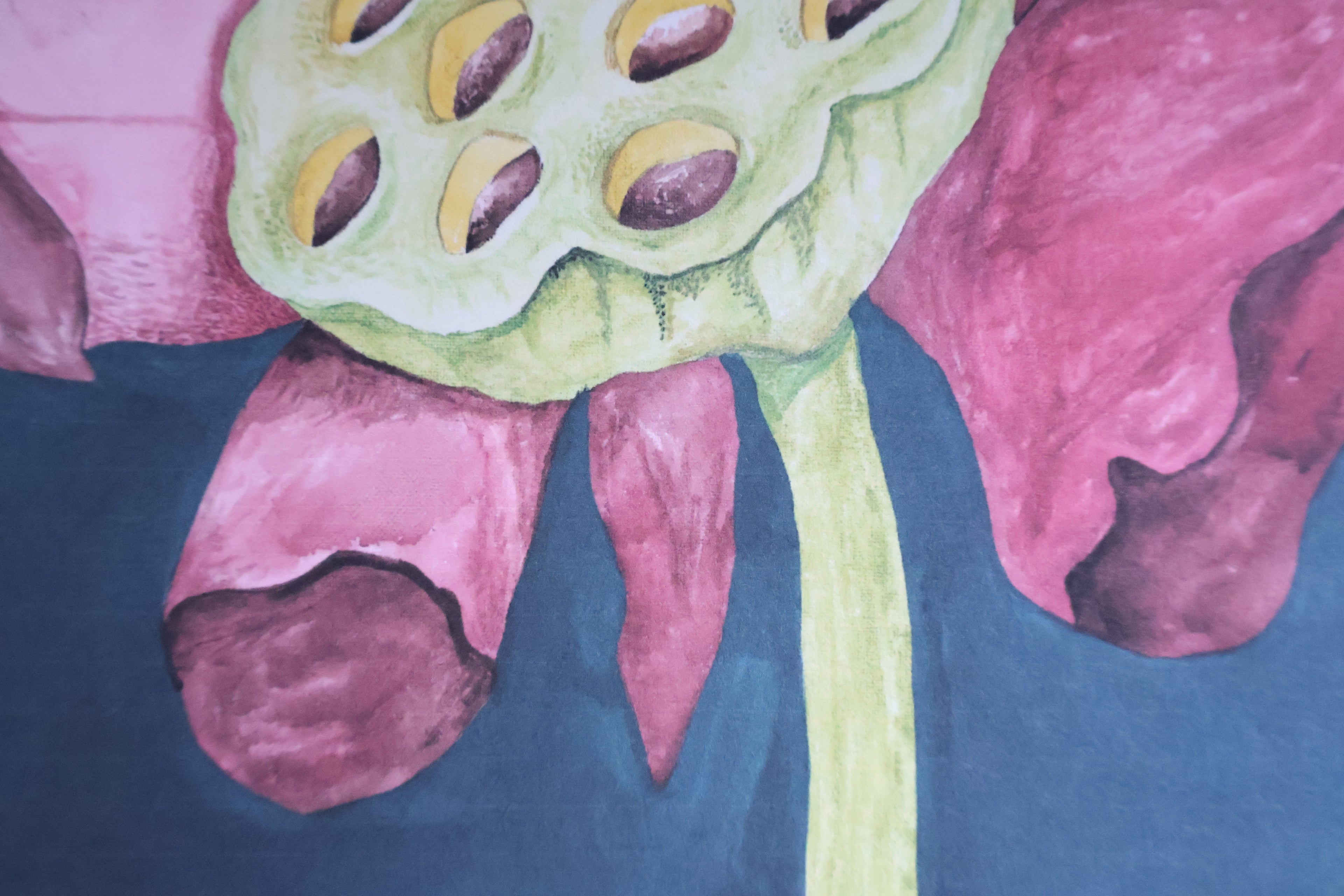 Blooming Lotus
