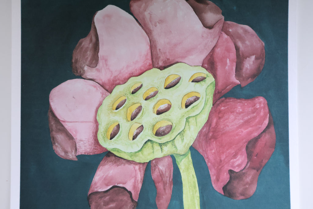 Blooming Lotus