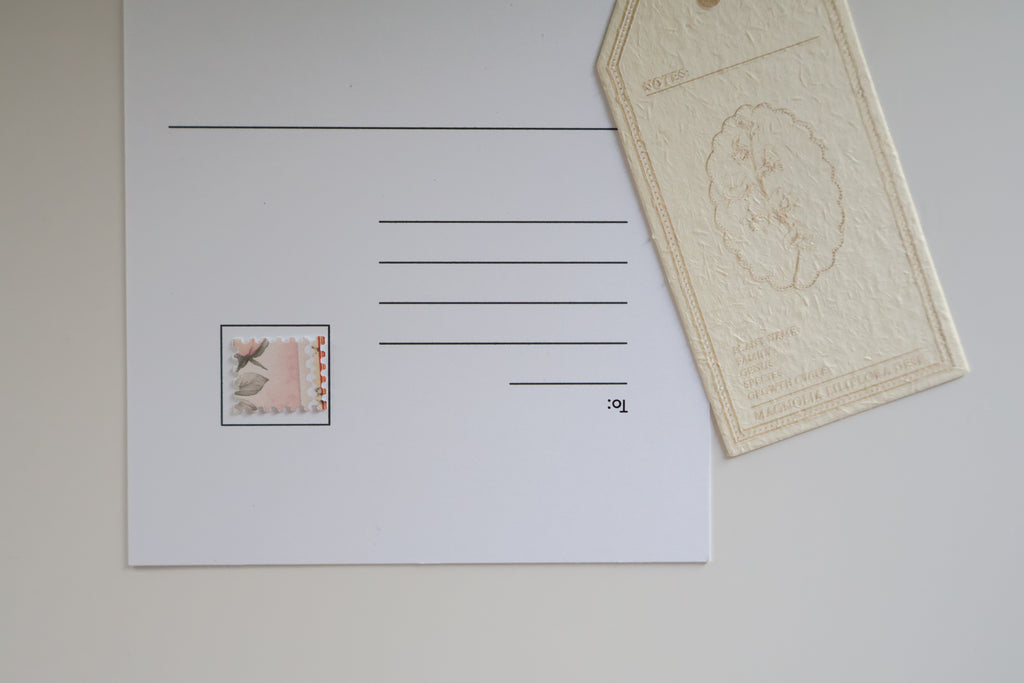Hawaii Escape Postcard