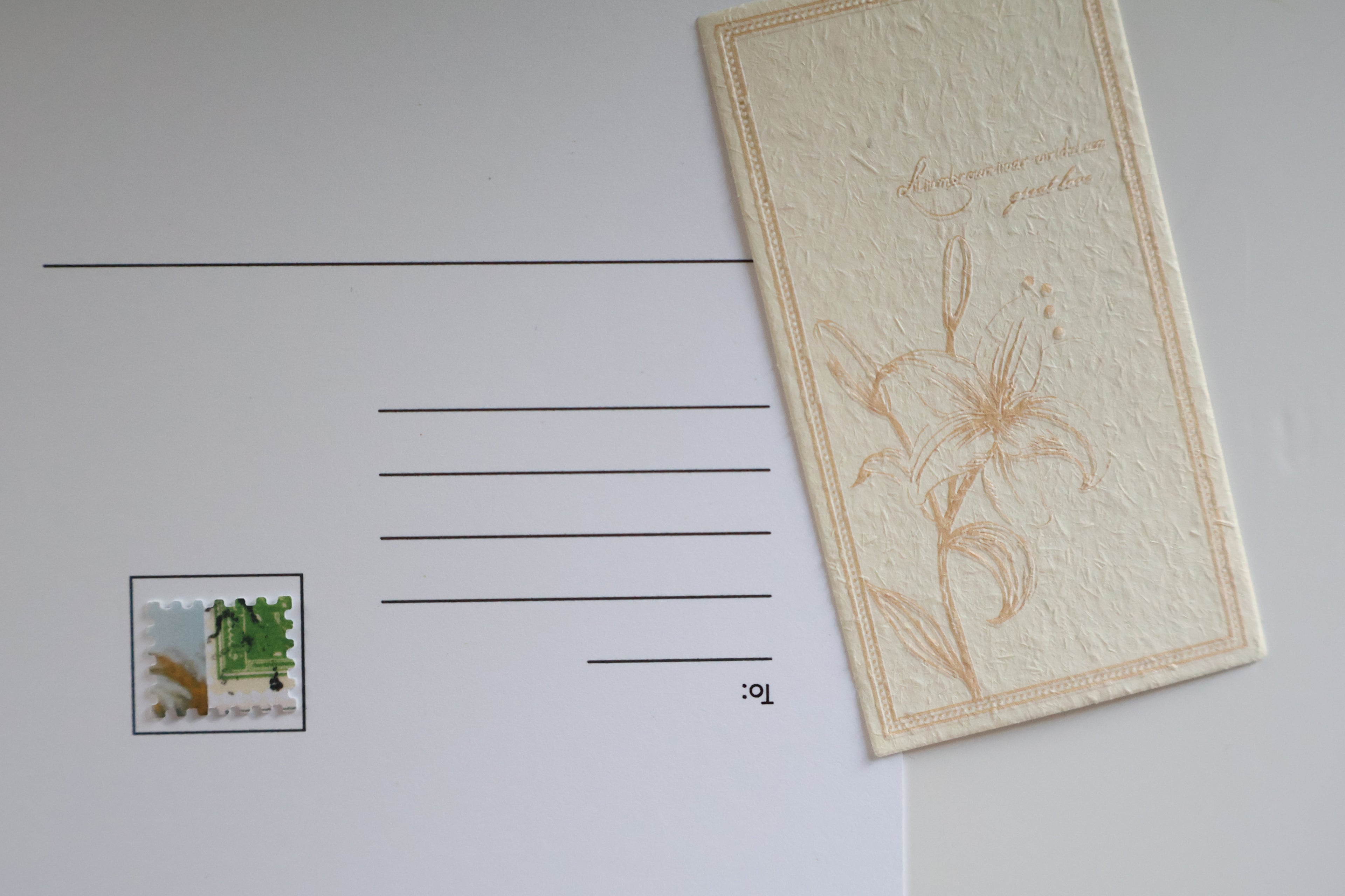 Marj Ibn Amer Postcard
