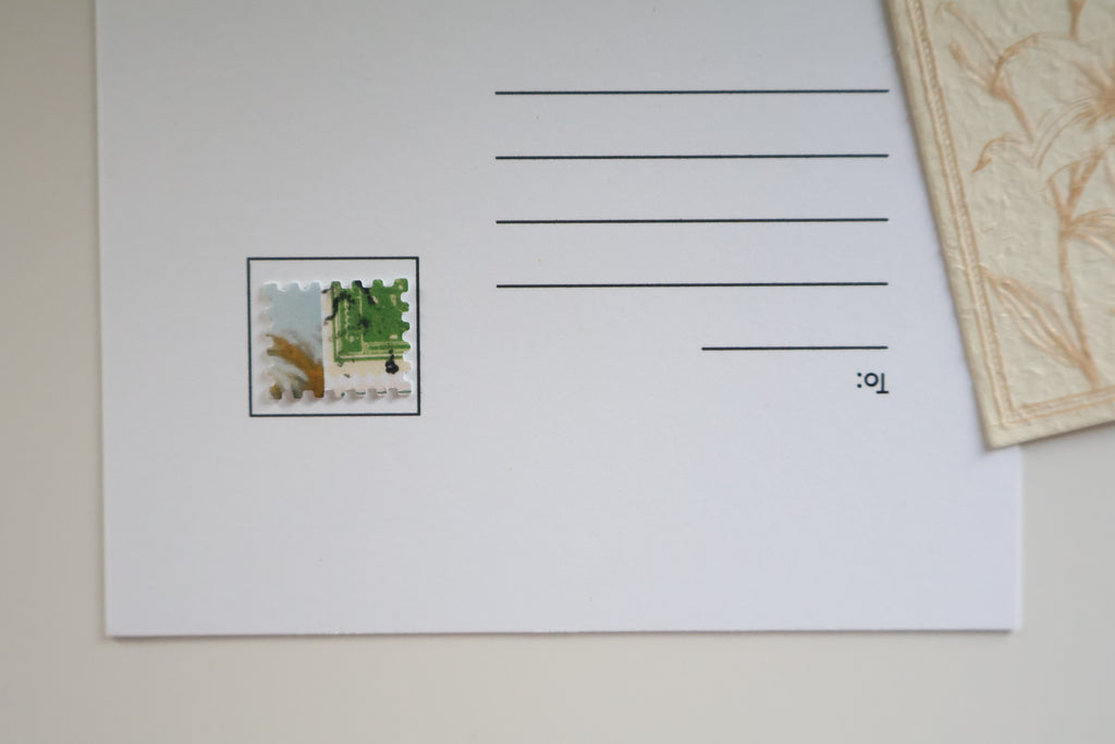 Marj Ibn Amer Postcard