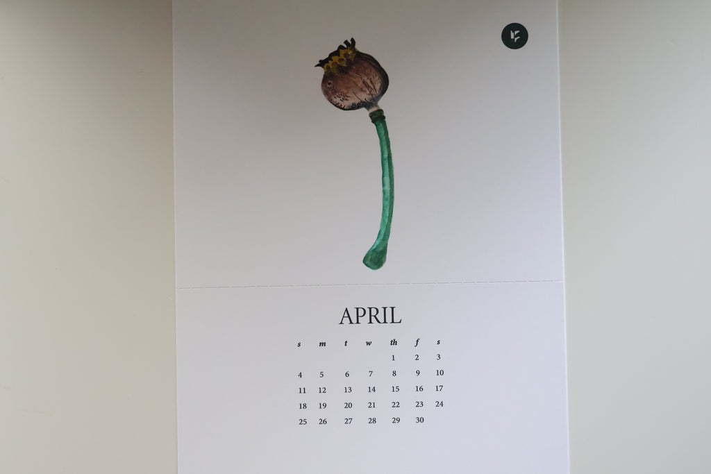 Tropical Botanical Calendar 2027