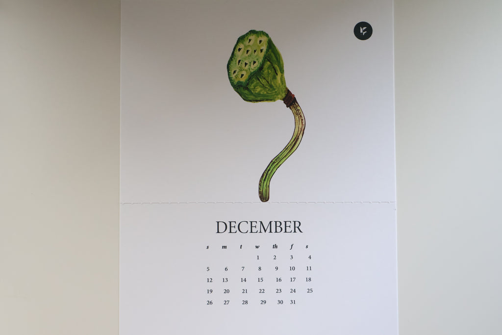 Tropical Botanical Calendar 2027
