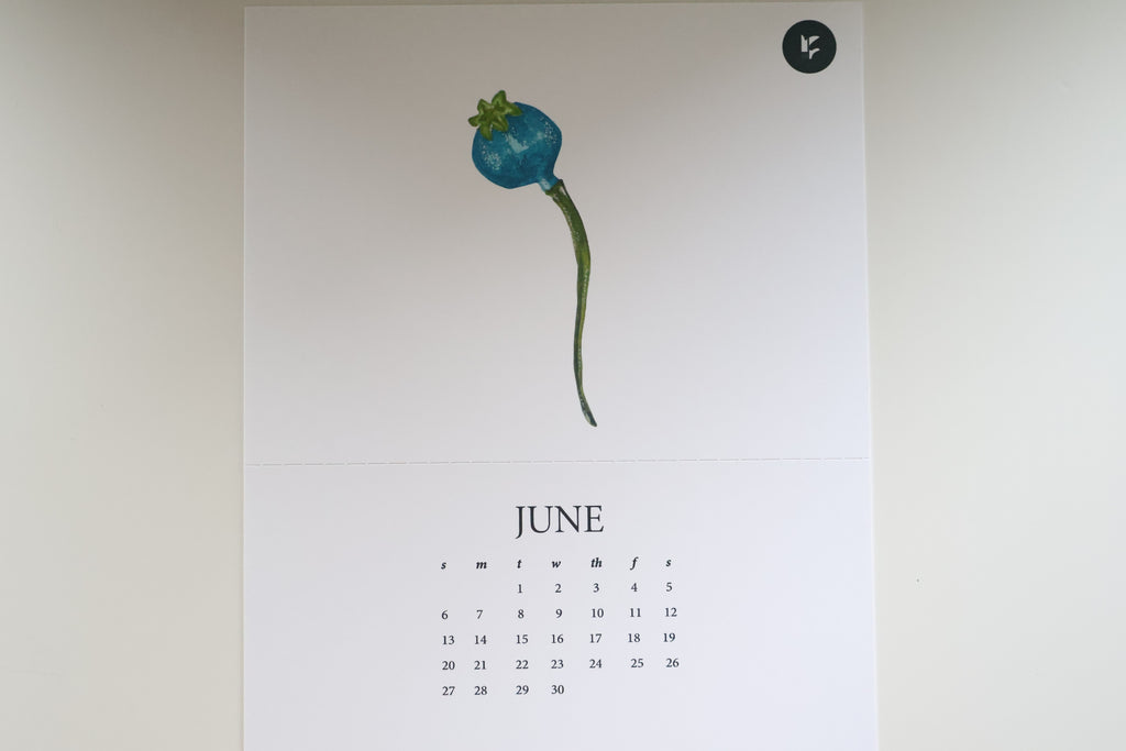 Spring Botanical Calendar 2027