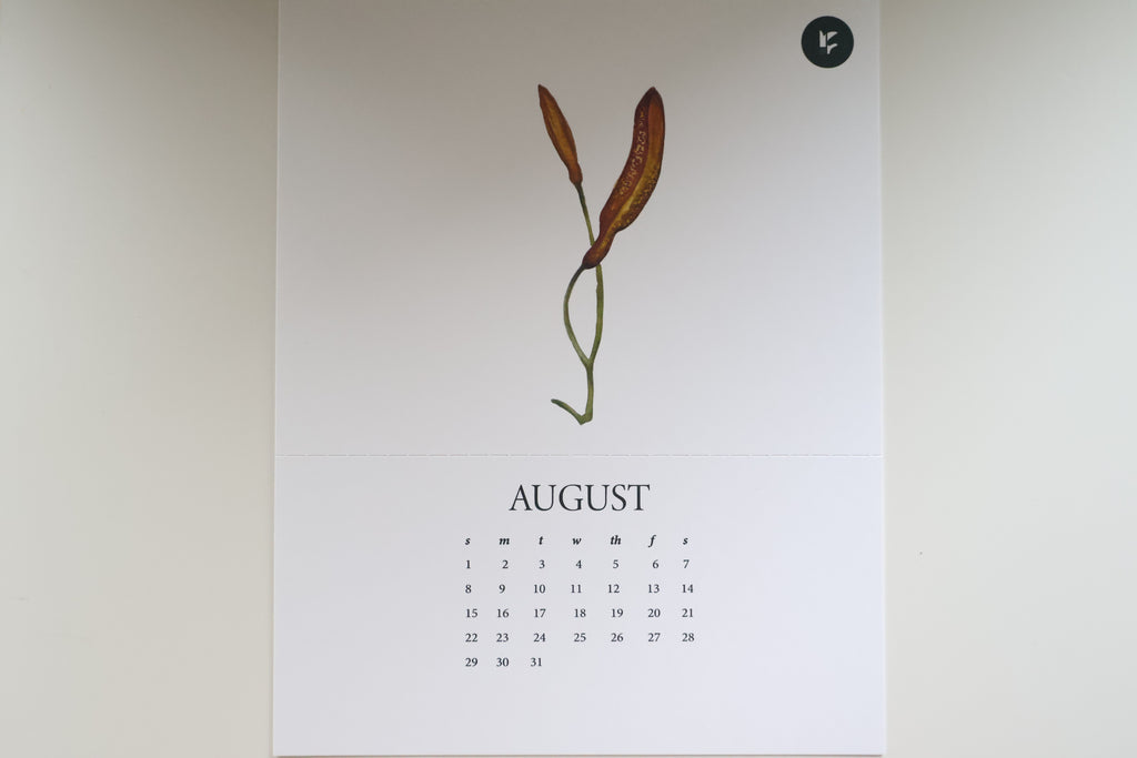 Spring Botanical Calendar 2027