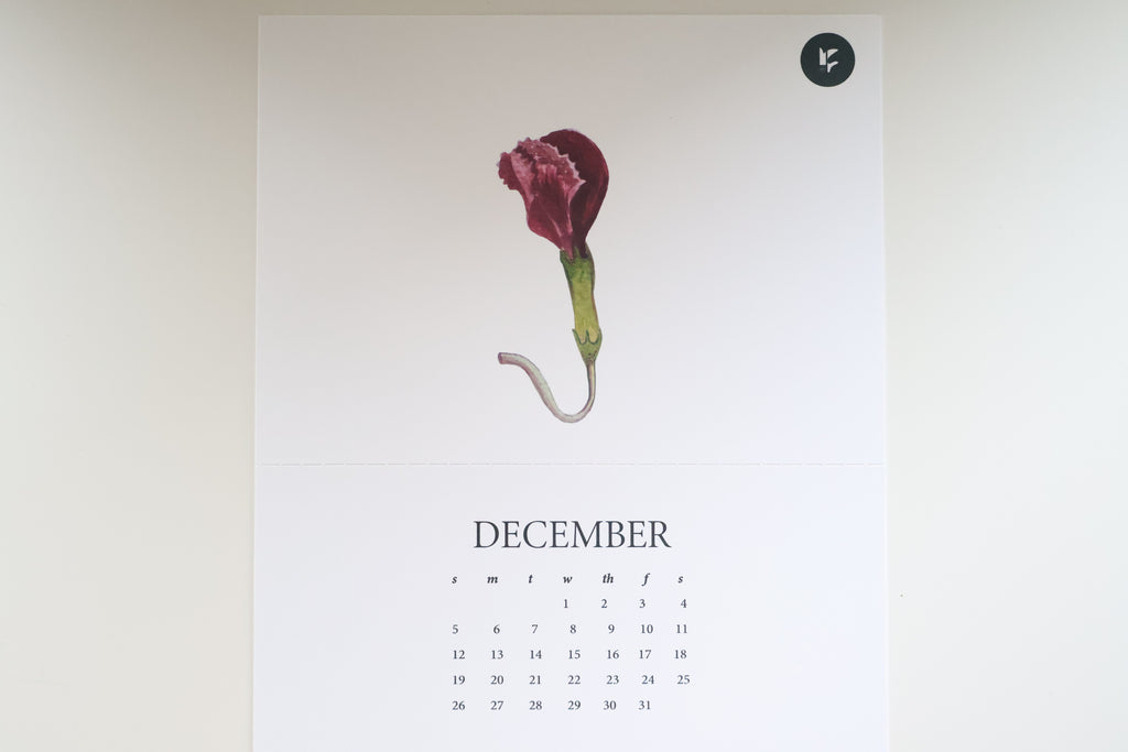 Spring Botanical Calendar 2027