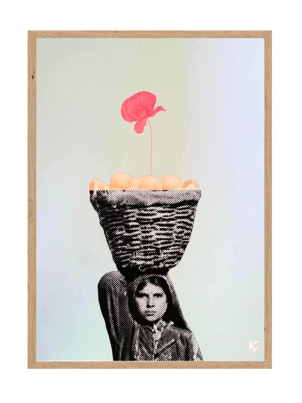 Resilient Rose Of Palestine